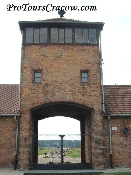 Birkenau Drive Through